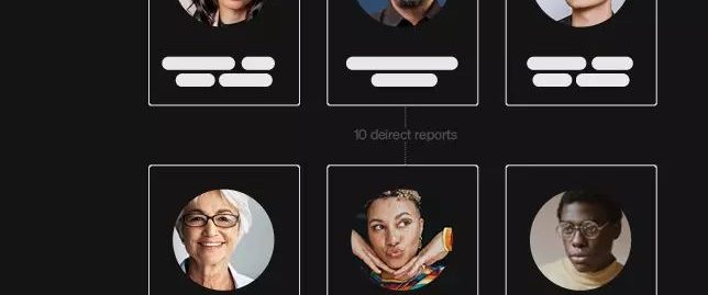 A digital organizational chart showing diverse team members in a grid.