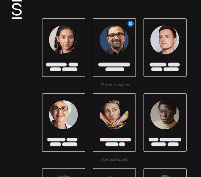 A digital organizational chart showing diverse team members in a grid.